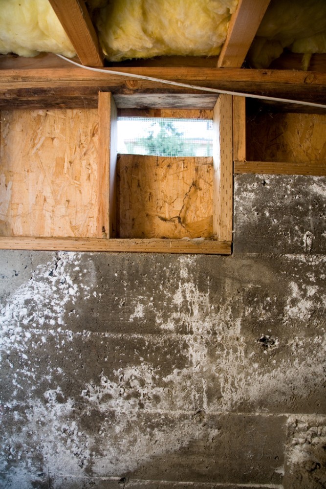 Crawl Space Closer