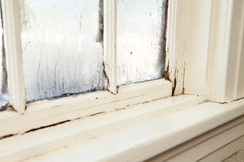 Window edges crack